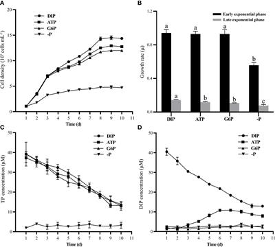 Transcriptomics and physiological analyses unveil the distinct mechanisms of ATP and glucose-6-phosphate utilization in Phaeodactylum tricornutum